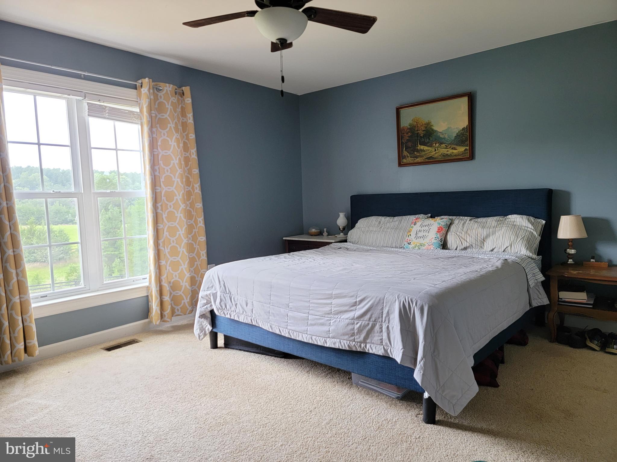 20797 Lahore Road Orange, VA 22960 - Photo 12 of 16 Owner Suite