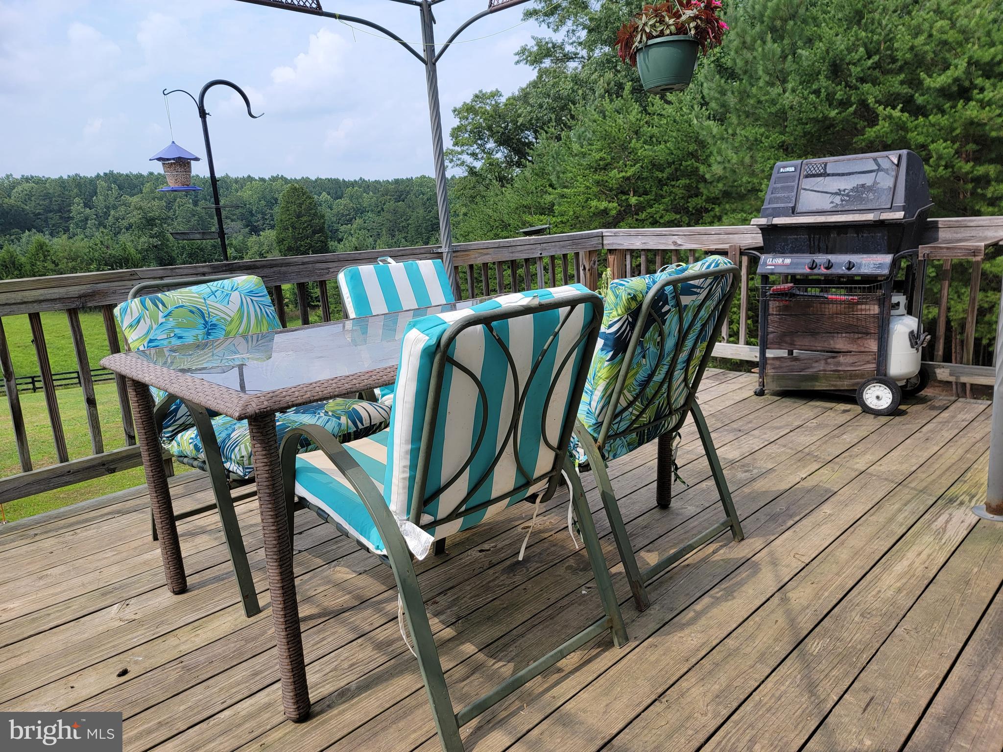 20797 Lahore Road Orange, VA 22960 - Photo 14 of 16 Back Deck