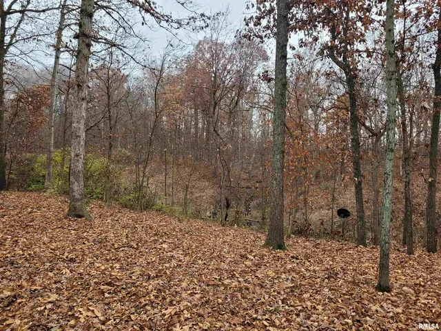 $300,000 | 19650 North Pisque Lane, Woodlawn, IL 62898