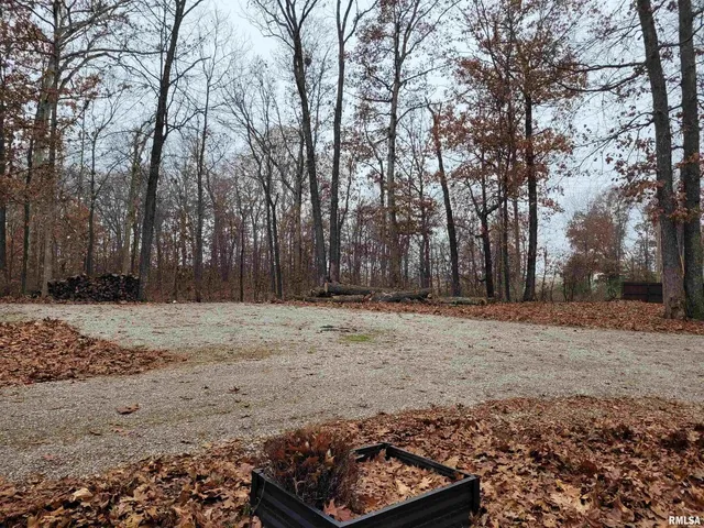 $300,000 | 19650 North Pisque Lane, Woodlawn, IL 62898