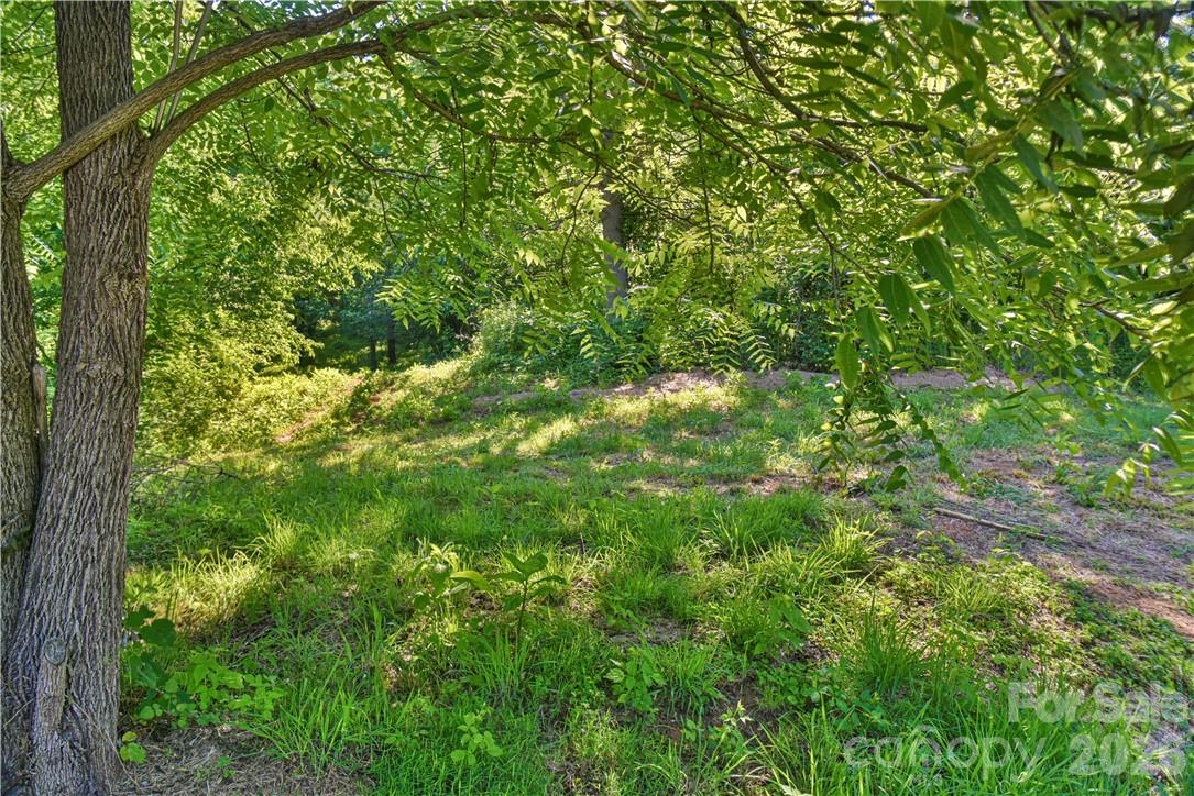 415 Weaverville Road Asheville, NC 28804 - Photo 15 of 47