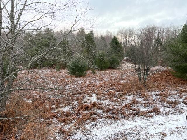 West Dotski Road Levering, MI 49755 - Photo 49 of 61 Gallery Image 49
