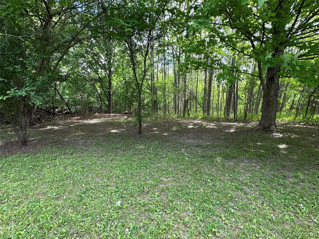 6161 East River Road Flushing, MI 48433 - Photo 53 of 63