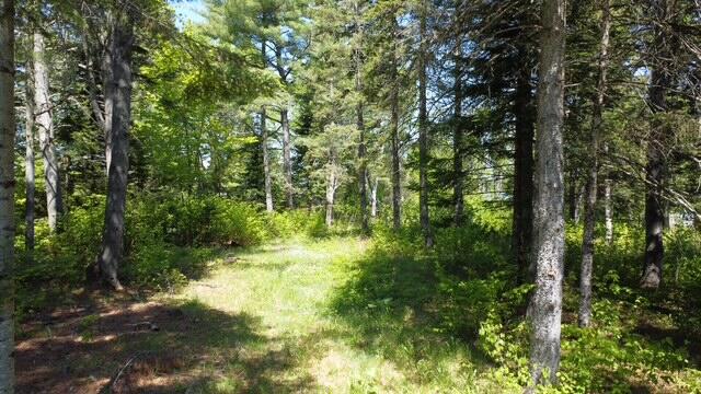 92 W Road Portage, ME 04768 - Photo 12 of 14