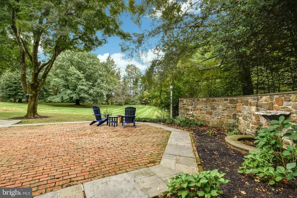 a view of a park with large trees