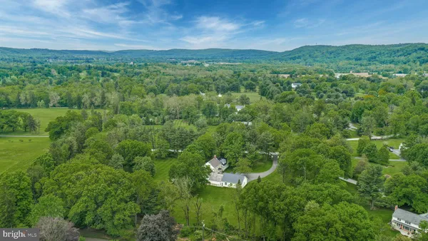 a view of a lush green forest with lots of trees