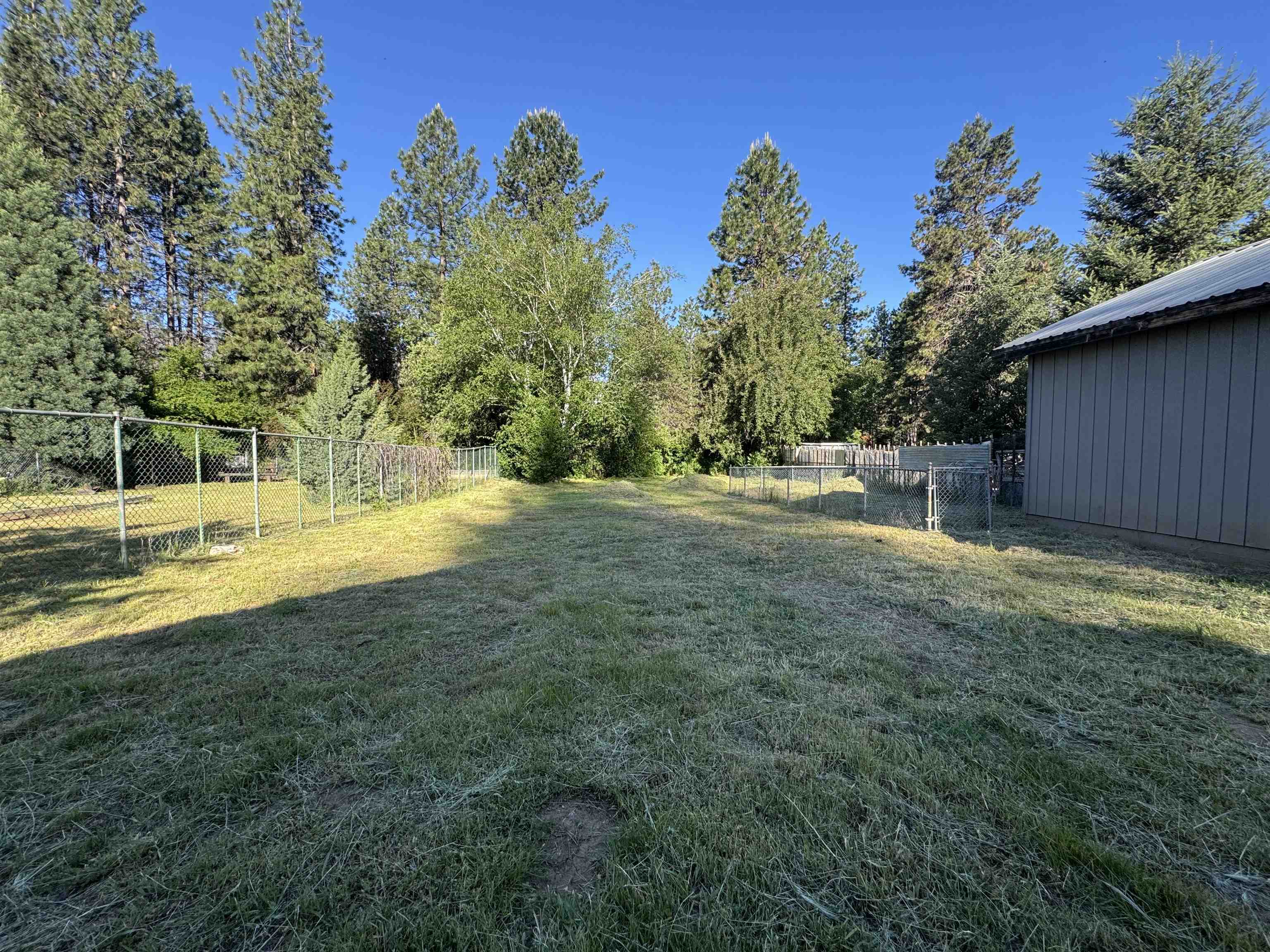 492 Alta Camp Road Greenville, CA 95947 - Photo 9 of 12