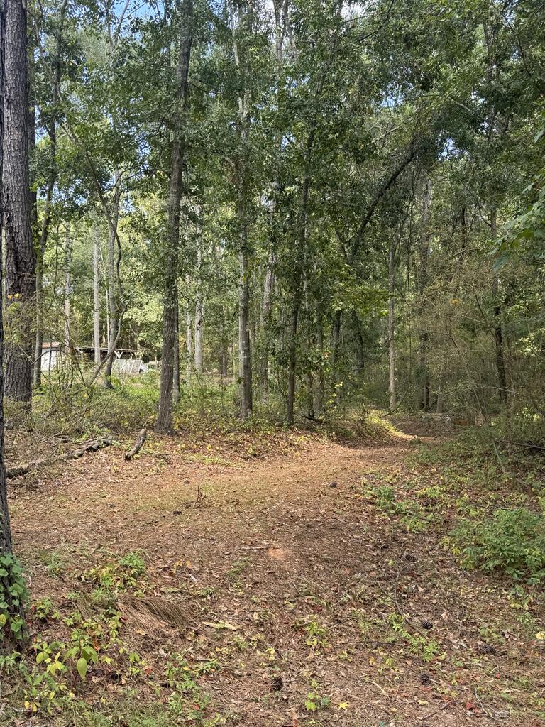 4182 Fortner Street Dothan, AL 36305 - Photo 46 of 51 Gallery Image 46