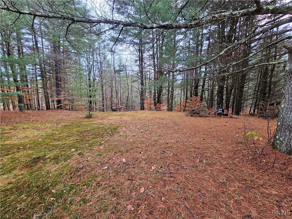 7746 Number 4 Road New Bremen, NY 13367 - Photo 16 of 49