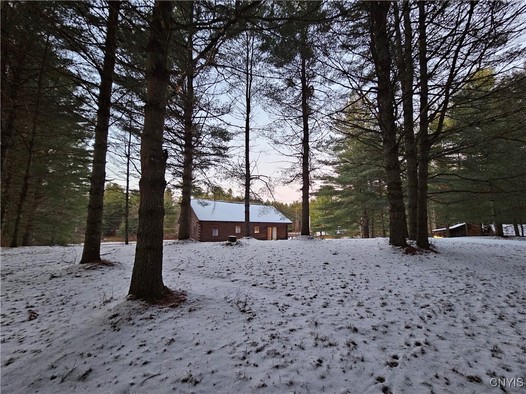 7746 Number 4 Road New Bremen, NY 13367 - Photo 37 of 49