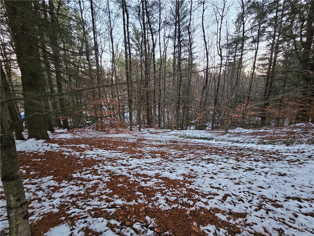 7746 Number 4 Road Lowville, NY 13367 - Photo 41 of 47