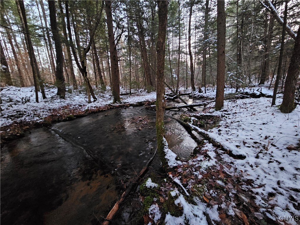 7746 Number 4 Road New Bremen, NY 13367 - Photo 41 of 49