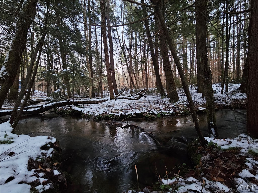 7746 Number 4 Road New Bremen, NY 13367 - Photo 42 of 49