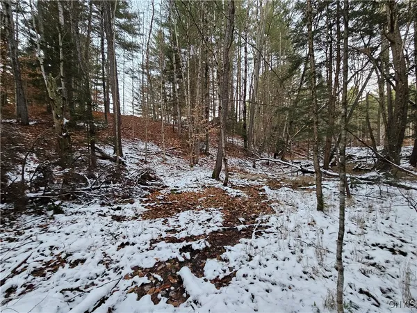 $229,000 | 7746 Number 4 Road, New Bremen, NY 13367