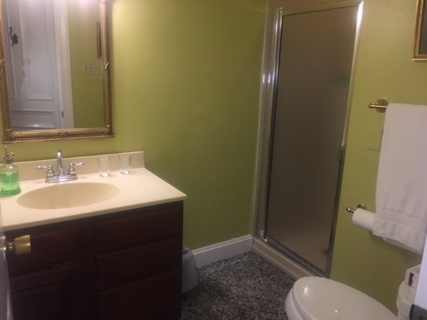 82 Chandler Street Boston, MA 02116 - Photo 13 of 30