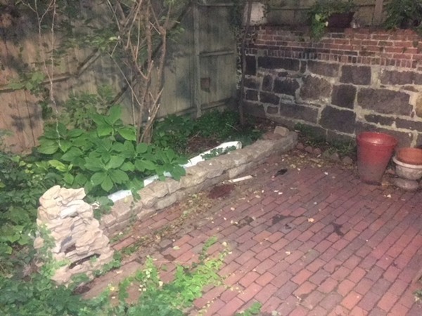 82 Chandler Street Boston, MA 02116 - Photo 25 of 30