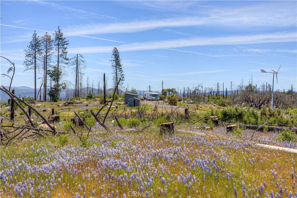 49 Indian Cemetery Road Berry Creek, CA 95916 - Photo 2 of 20 a view of a city with tall buildings