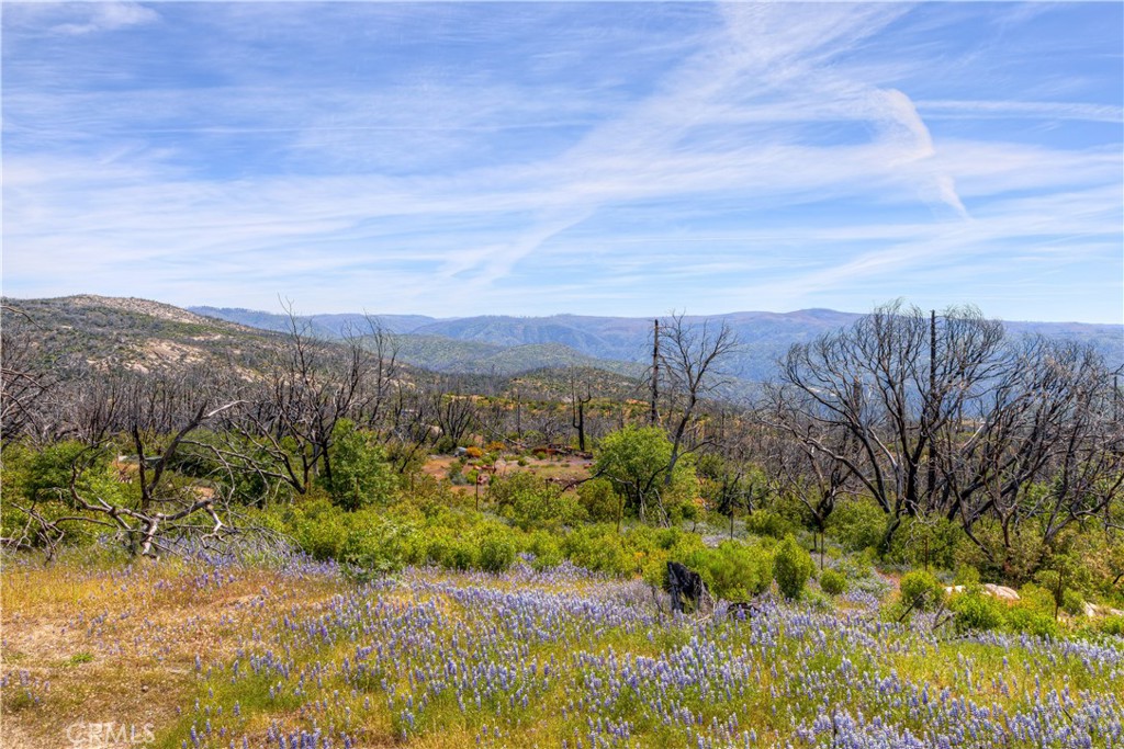 49 Indian Cemetery Road Berry Creek, CA 95916 - Photo 5 of 20 a view of a city with lush green forest