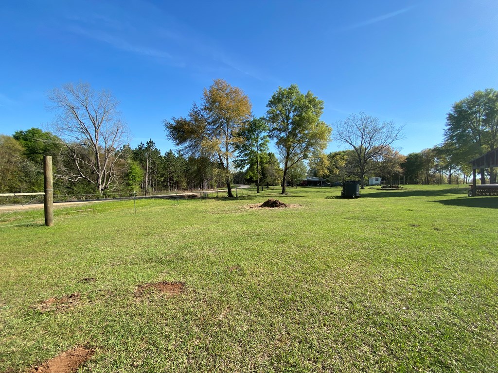0 Co Road Abbeville, AL 36310 - Photo 2 of 53