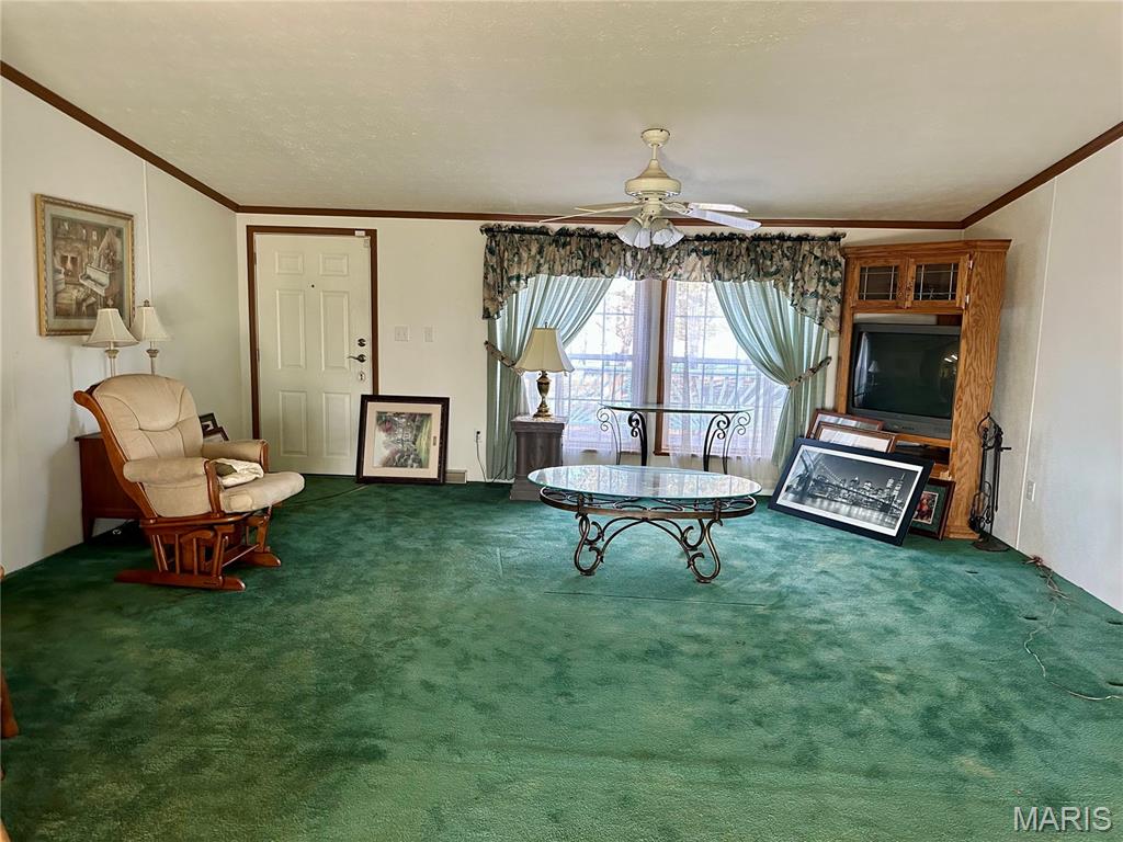 20754 Emerald Road Carlyle, IL 62231 - Photo 22 of 31