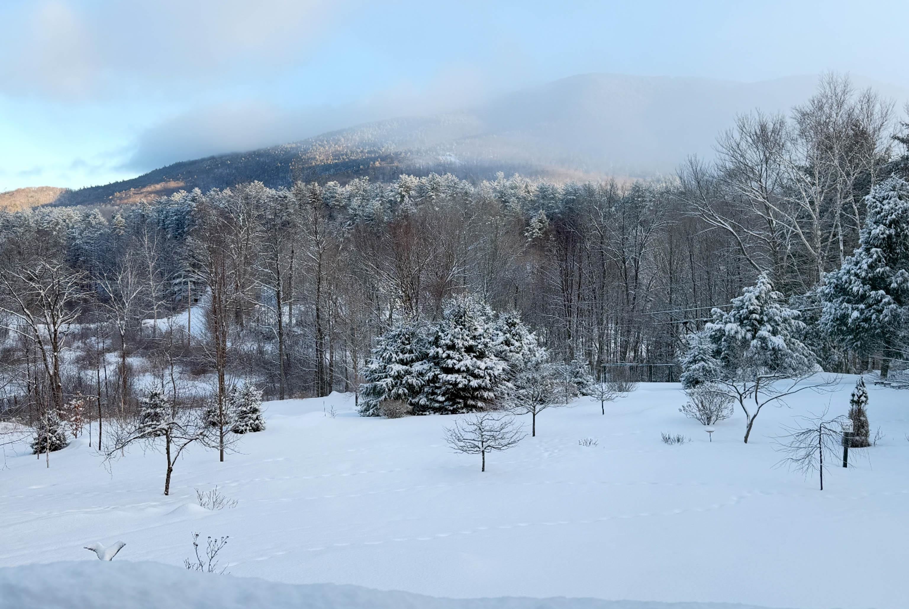 208 Jarvis Road Weathersfield, VT 05151 - Photo 56 of 57 Gallery Image 56