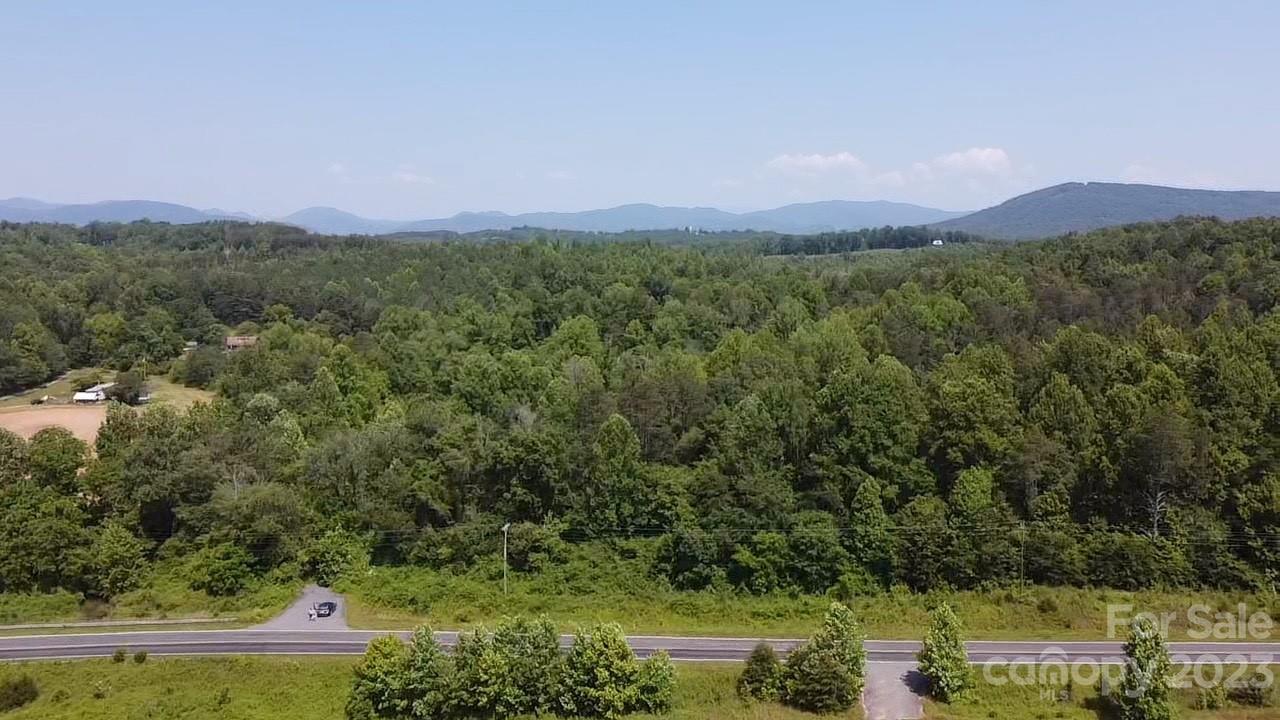 359 Parris Road Rutherfordton, NC 28139 - Photo 16 of 17 a view of a city with lush green forest