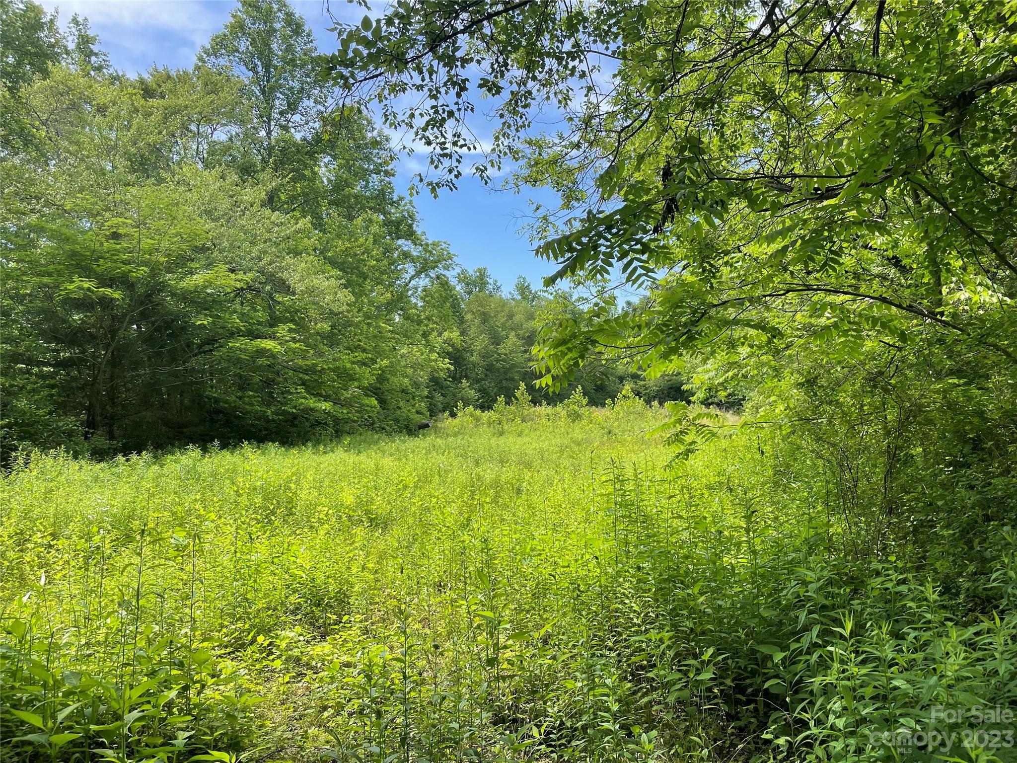 359 Parris Road Rutherfordton, NC 28139 - Photo 2 of 17 a view of a garden