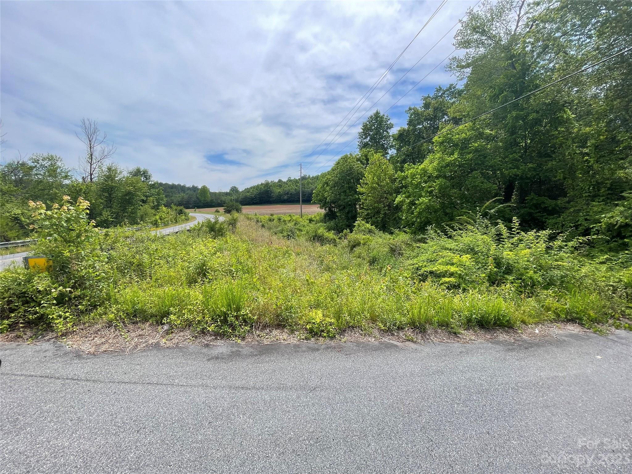359 Parris Road Rutherfordton, NC 28139 - Photo 5 of 17 a view of a garden with a building in the background