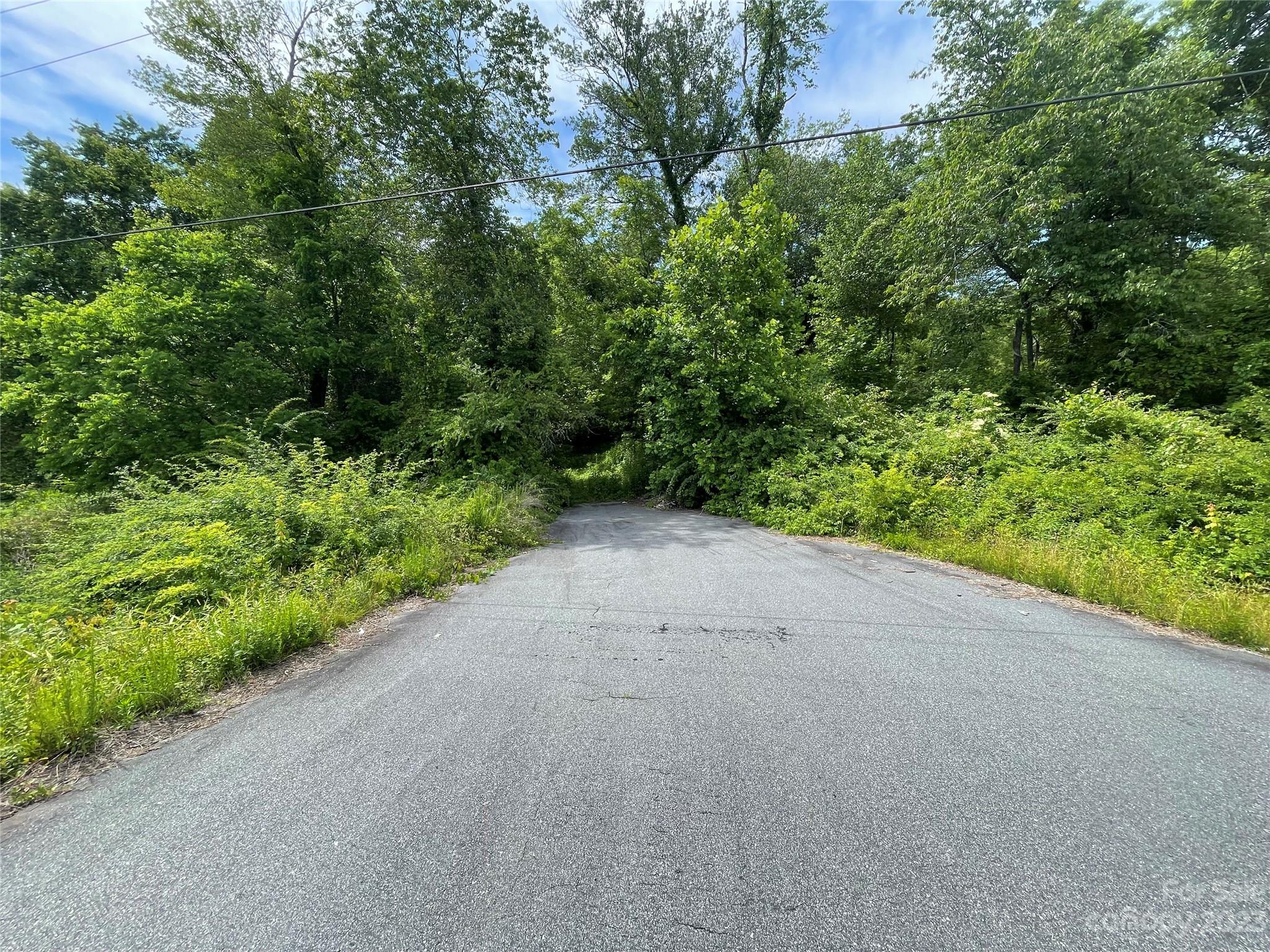 359 Parris Road Rutherfordton, NC 28139 - Photo 6 of 17 a view of a plants with trees in the background