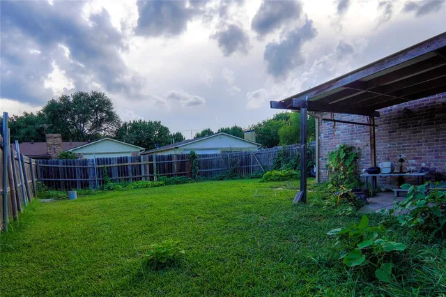 a view of a backyard with plants and large trees