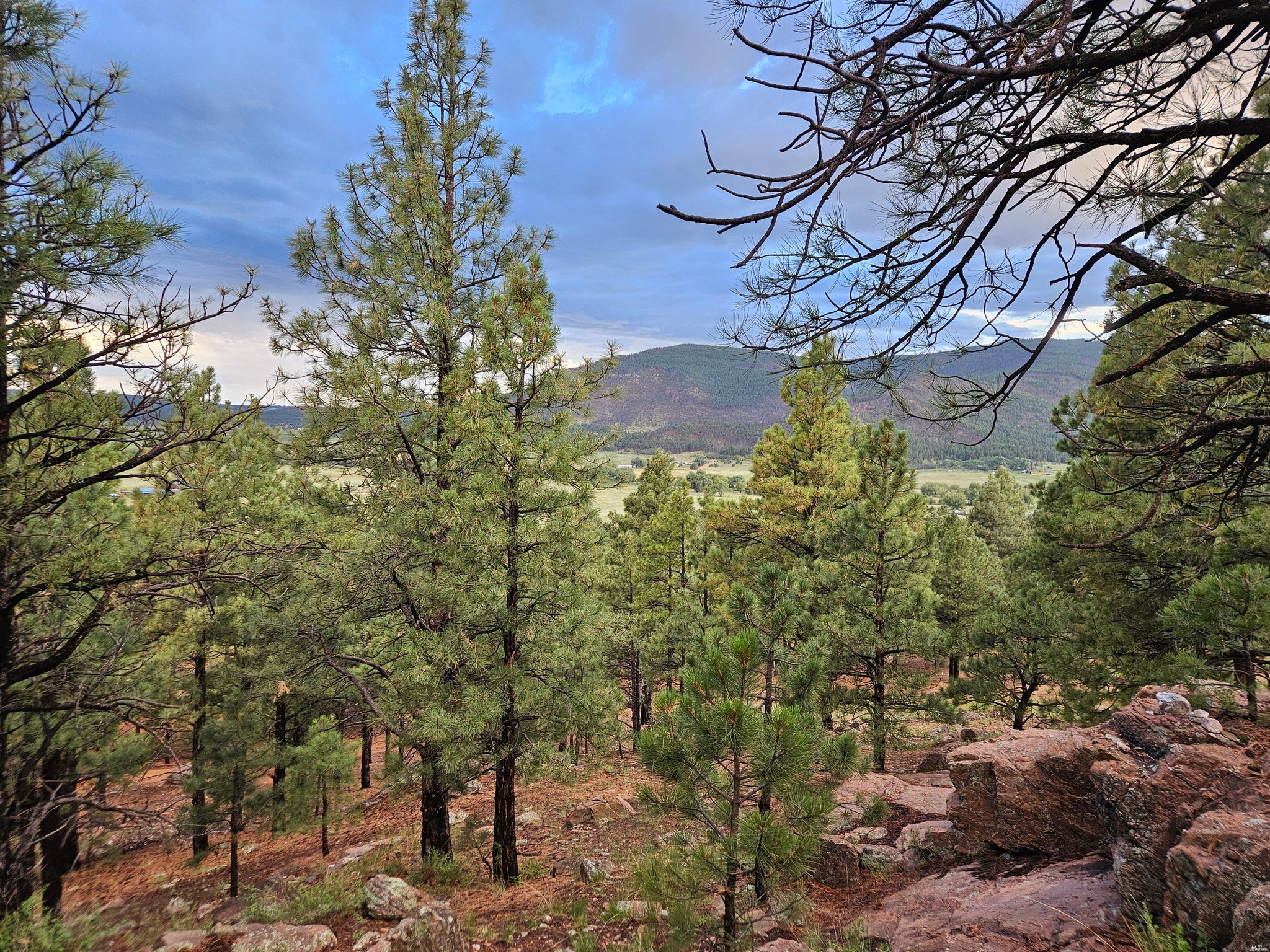 97 County Rd A010 Mora, NM 87732 - Photo 47 of 58 Gallery Image 47