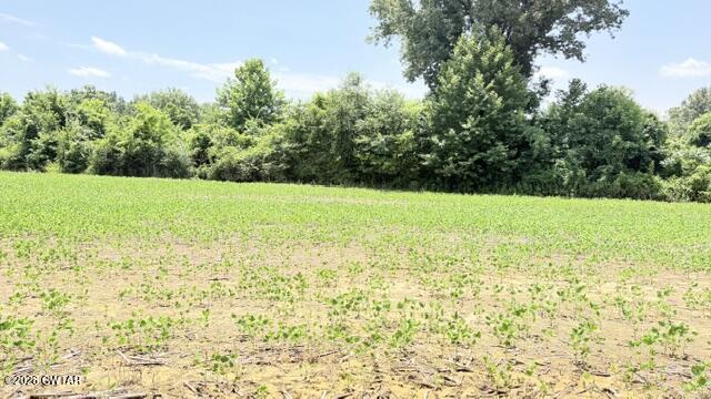 0 Westport Road Huntingdon, TN 38344 - Photo 19 of 58 IMG_8979
