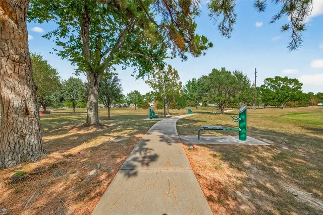 a park with lots of trees and plants