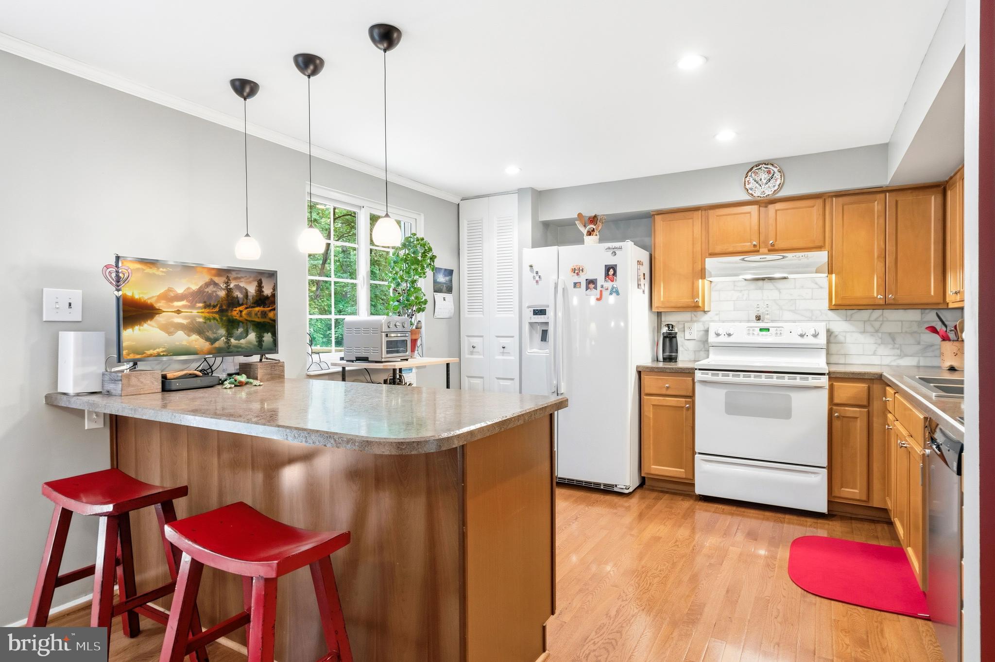 2303 Middle Creek Lane Reston, VA 20191 - Photo 16 of 48 Kitchen Bar Peninsula