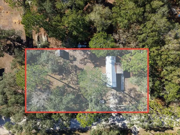 a view of a garden with flowers