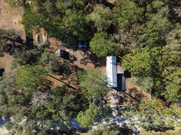 a view of a tree in a garden