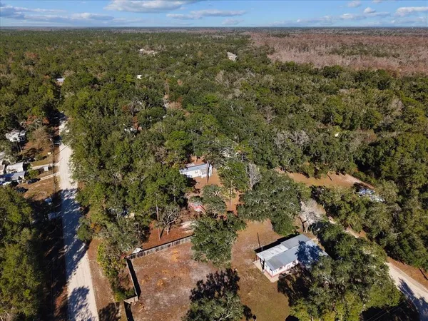 an aerial view of forest