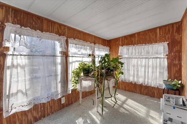 a potted plant sitting in front of a window