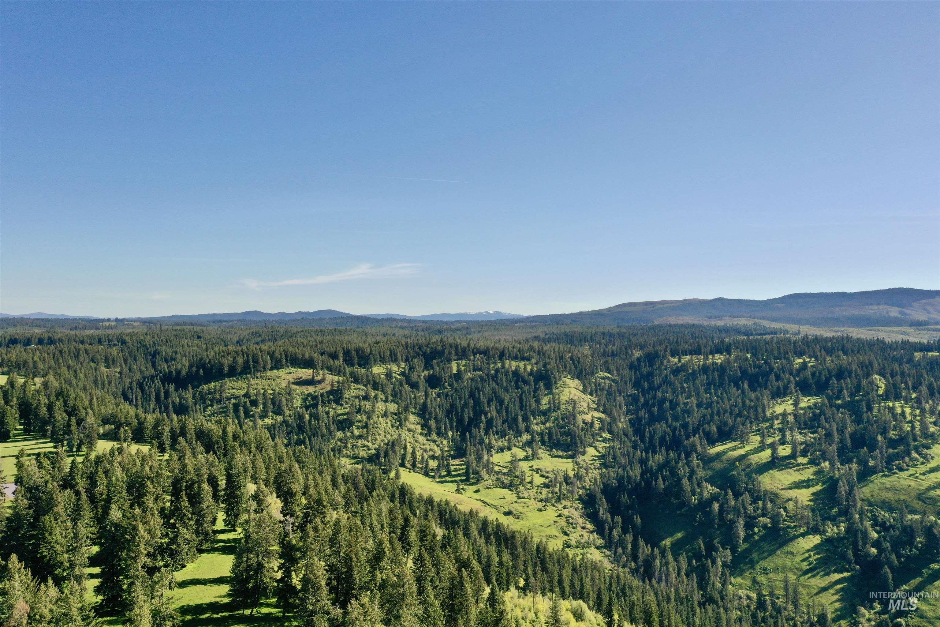 151 Ranta Road Kooskia, ID 83539 - Photo 21 of 33