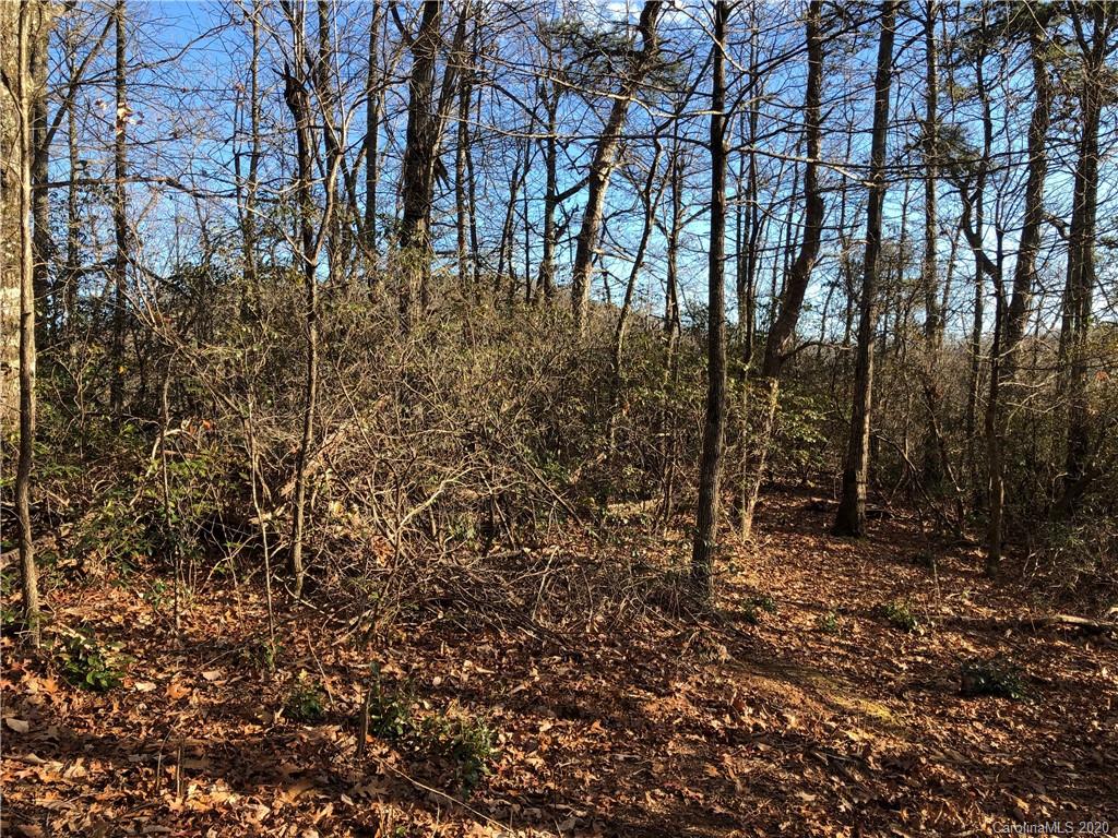 10-acres Echoing Ridge, Unit 8 Fairview, NC 28730 - Photo 11 of 20 Gallery Image 11
