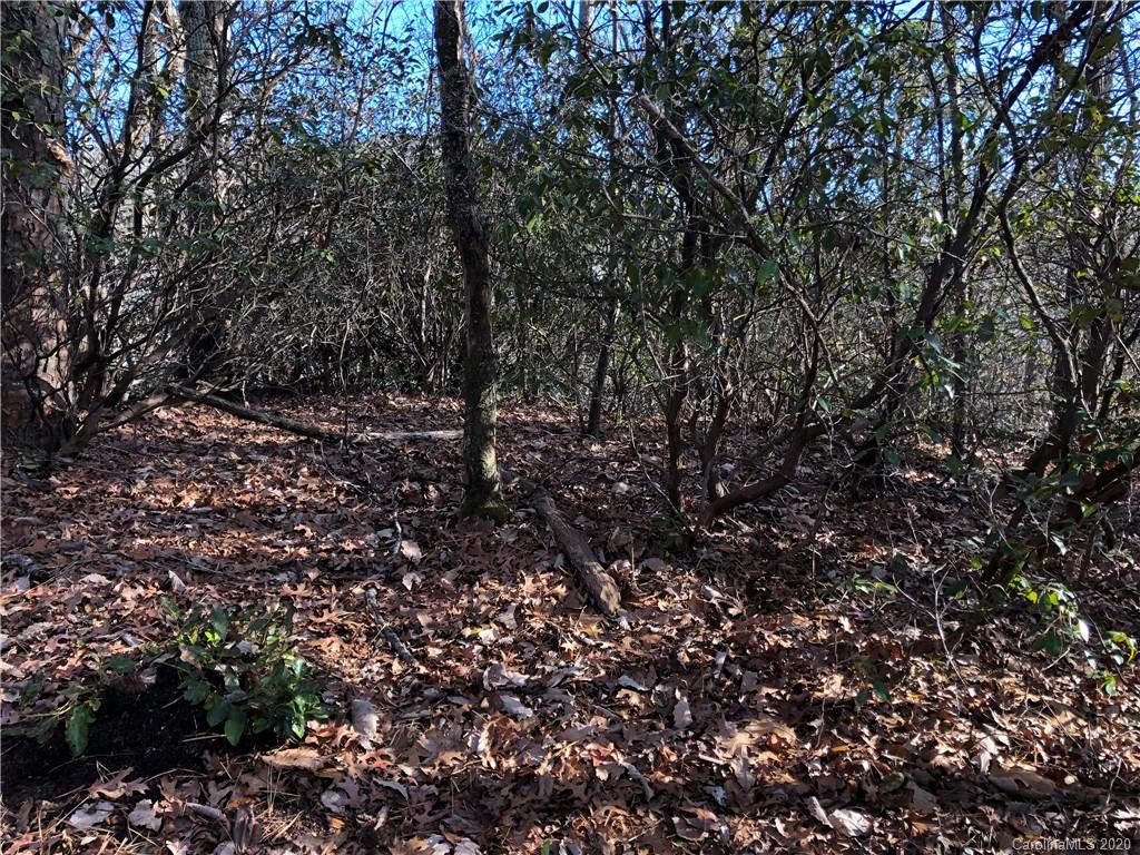 10-acres Echoing Ridge, Unit 8 Fairview, NC 28730 - Photo 12 of 20 Gallery Image 12