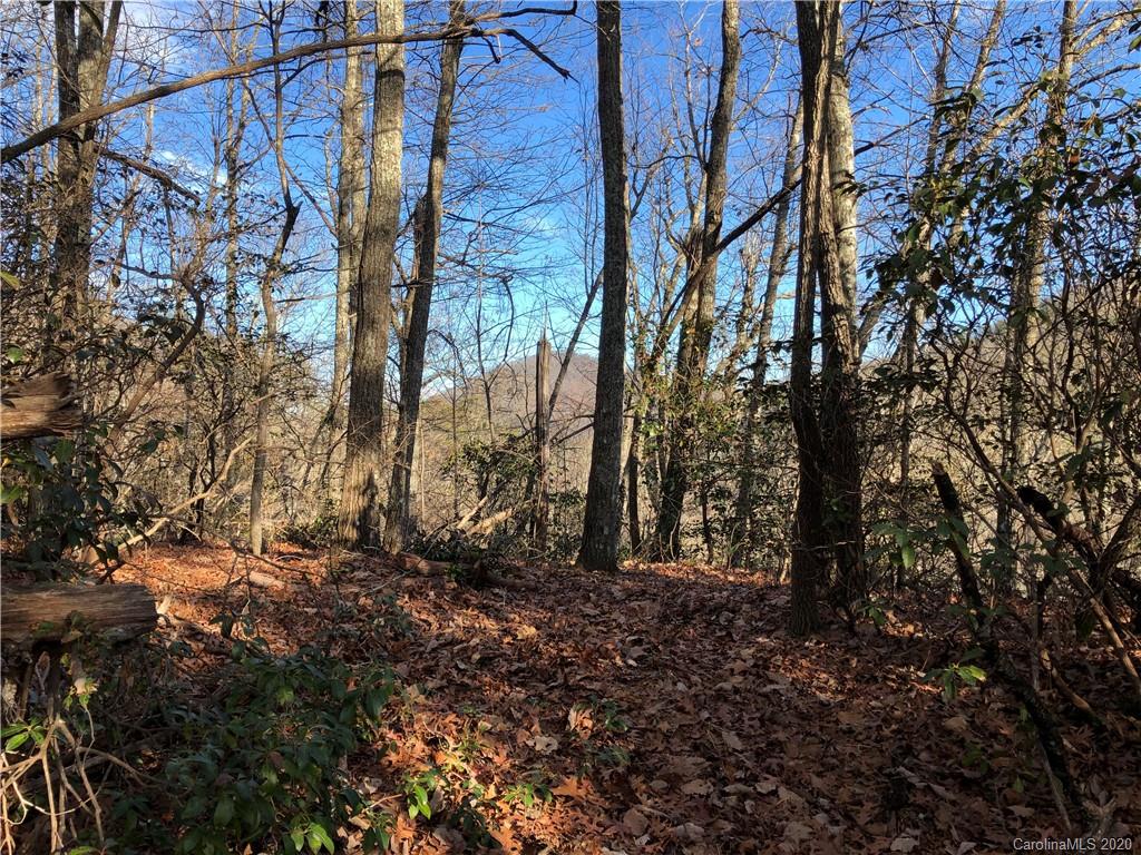 10-acres Echoing Ridge, Unit 8 Fairview, NC 28730 - Photo 13 of 20 Gallery Image 13