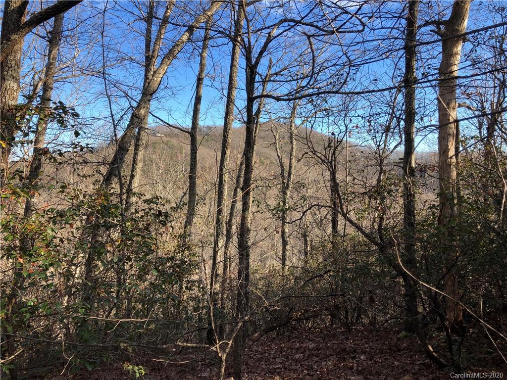 10-acres Echoing Ridge, Unit 8 Fairview, NC 28730 - Photo 14 of 20 Gallery Image 14