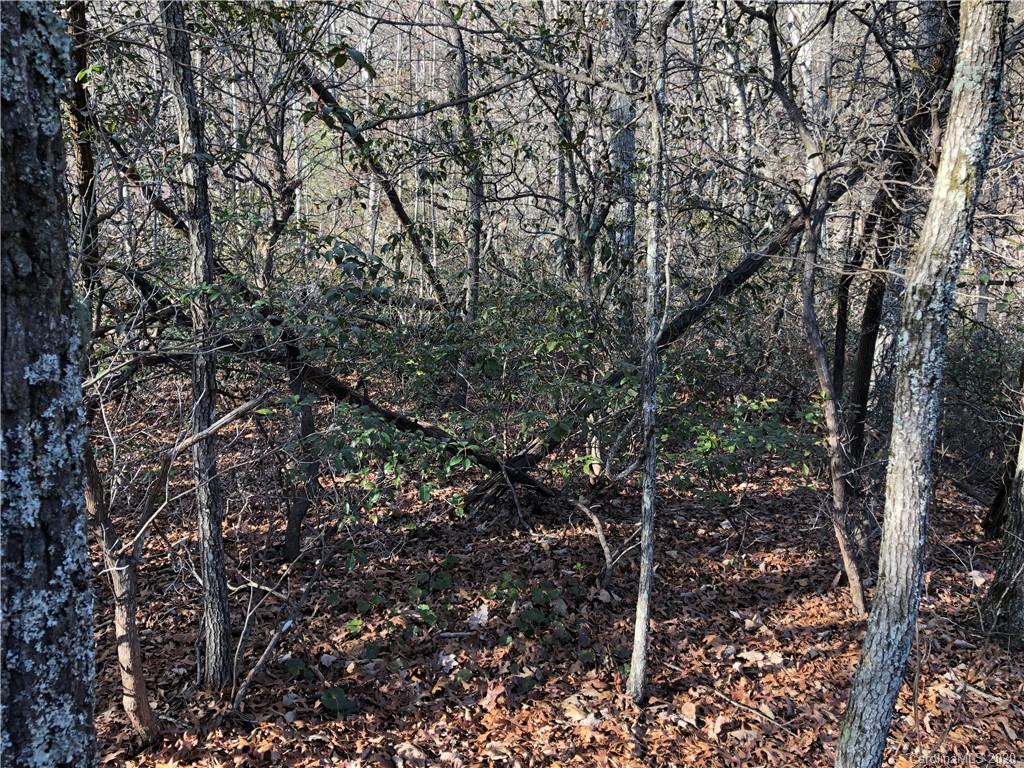 10-acres Echoing Ridge, Unit 8 Fairview, NC 28730 - Photo 15 of 20 Gallery Image 15