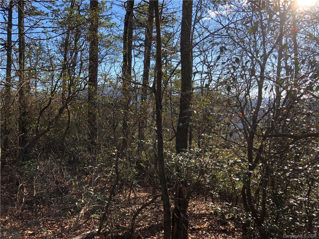 10-acres Echoing Ridge, Unit 8 Fairview, NC 28730 - Photo 16 of 20 Gallery Image 16