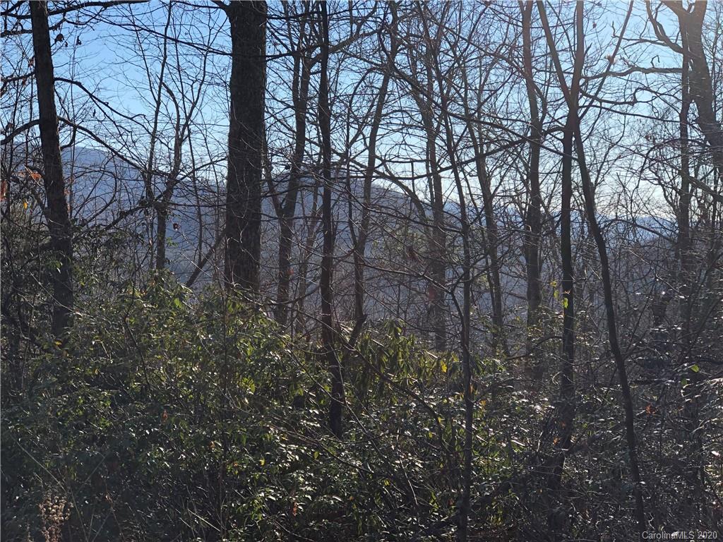 10-acres Echoing Ridge, Unit 8 Fairview, NC 28730 - Photo 17 of 20 Gallery Image 17