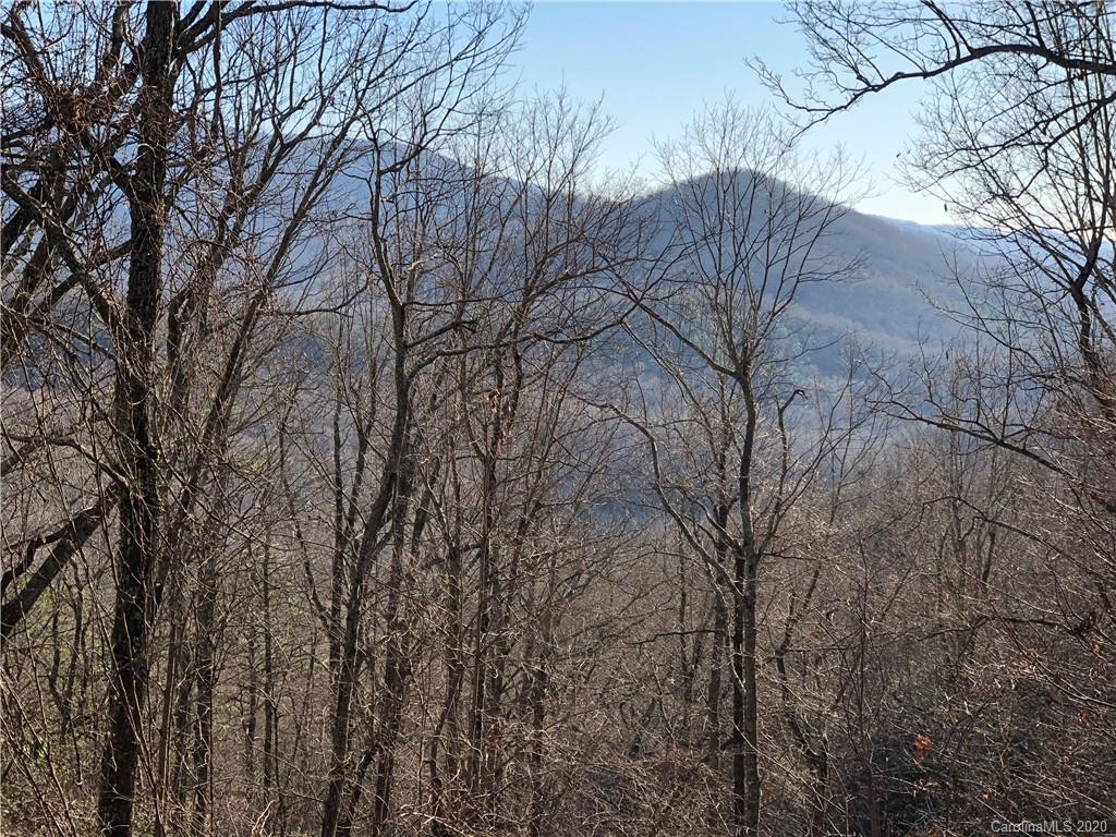 10-acres Echoing Ridge, Unit 8 Fairview, NC 28730 - Photo 18 of 20 Gallery Image 18