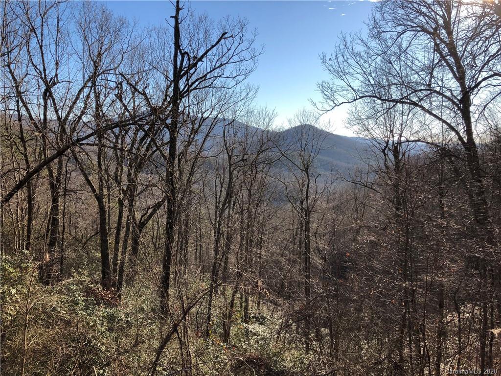 10-acres Echoing Ridge, Unit 8 Fairview, NC 28730 - Photo 19 of 20 Gallery Image 19