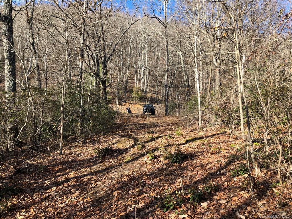 10-acres Echoing Ridge, Unit 8 Fairview, NC 28730 - Photo 20 of 20 Gallery Image 20
