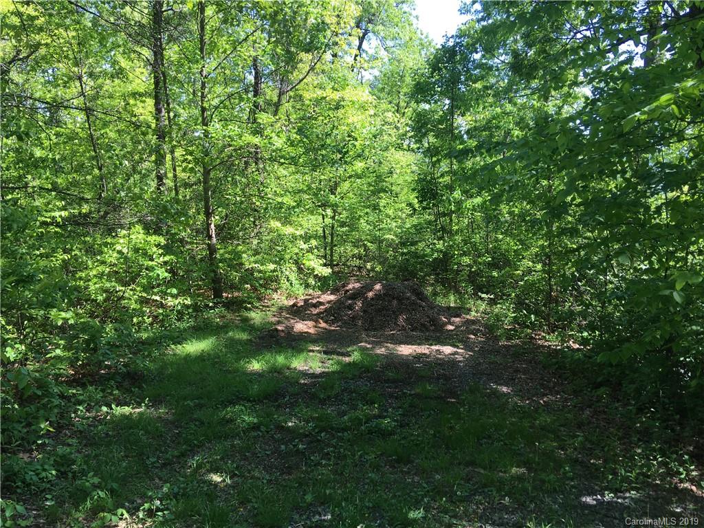 10-acres Echoing Ridge, Unit 8 Fairview, NC 28730 - Photo 8 of 20 Gallery Image 8
